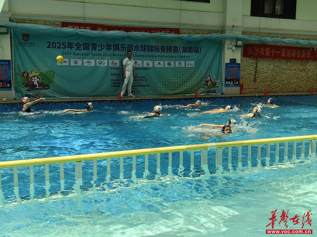 2025全国青少年俱乐部水球锦标赛乙组预赛（湖南站）圆满落幕(图2)