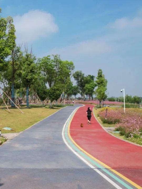 聆听邛崃丨活力邛崃：当自然画卷遇见运动诗篇(图11)