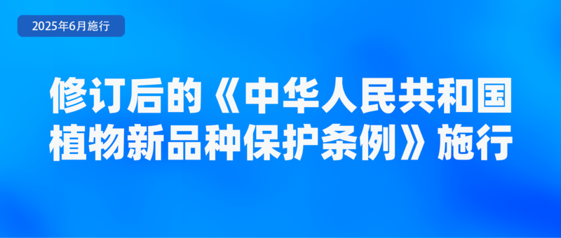 不得将刷脸作为唯一验证方式、首部学前教育法上线月新规(图5)