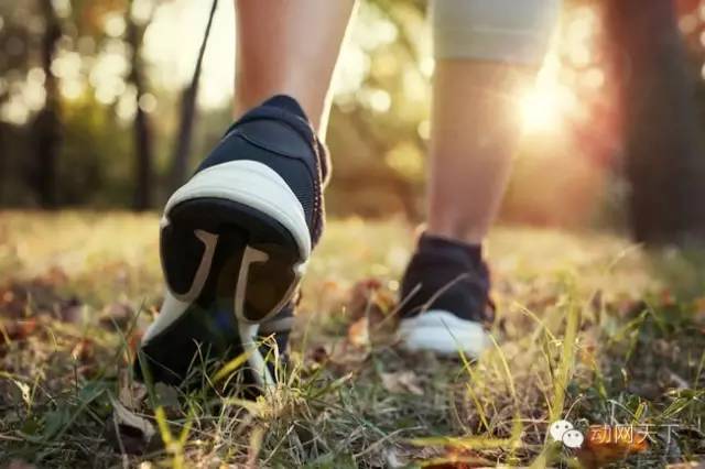 江苏扬州：学校体育设施向社会开放场地不放假运动不断档