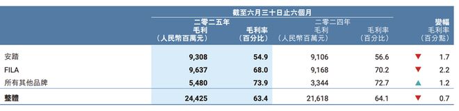 透视半年报｜安踏体育这半年：毛利率下滑“买买买”不停