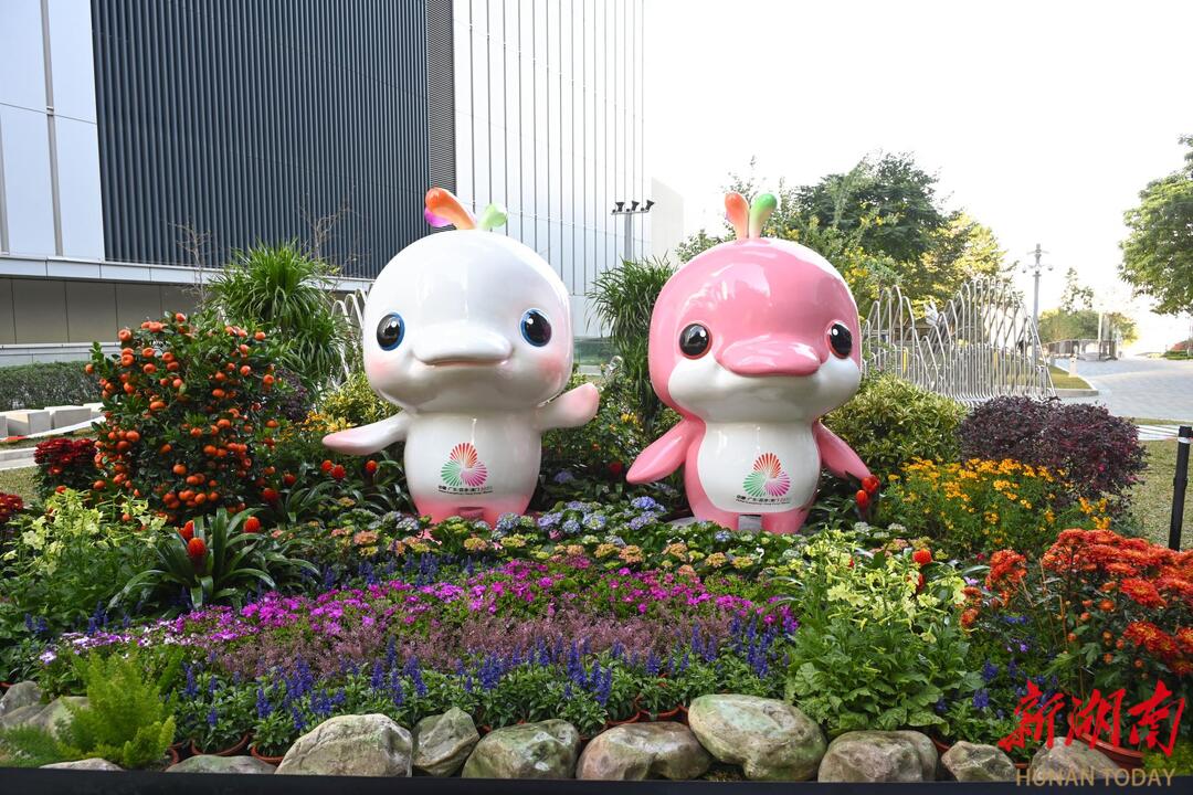 第十五届全国运动会：感受活力香港跃动无限精彩(图9)