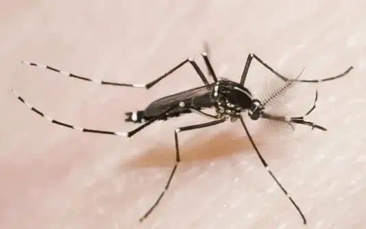 爱国卫生运动 清清清！大家齐动手别再“养”蚊为患！