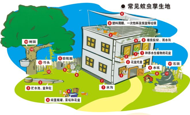 爱国卫生运动 清清清！大家齐动手别再“养”蚊为患！(图4)