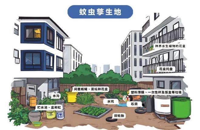 爱国卫生运动 清清清！大家齐动手别再“养”蚊为患！(图3)