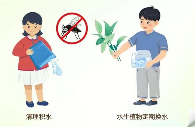 爱国卫生运动 清清清！大家齐动手别再“养”蚊为患！(图7)