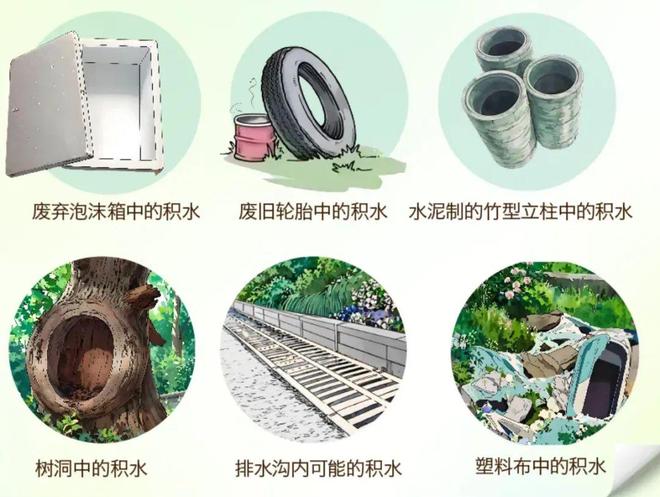 爱国卫生运动 清清清！大家齐动手别再“养”蚊为患！(图8)