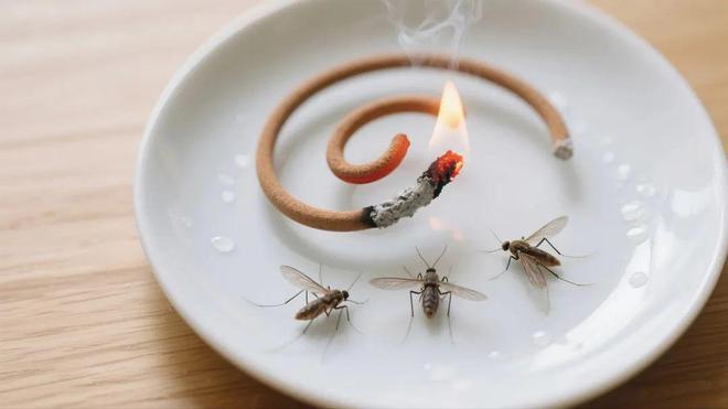 爱国卫生运动 清清清！大家齐动手别再“养”蚊为患！(图9)