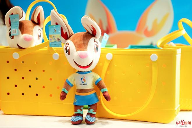 2026年第六届亚洲沙滩运动会合作机遇推介会在成都举办(图2)