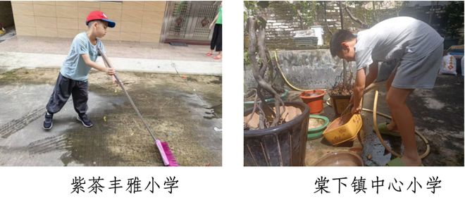 爱国卫生运动进行时“励耘师生”在行动！(图4)