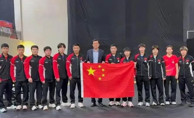 21金冠军丁宁的新决定：不再透支冠军先救回运动员的身体(图4)