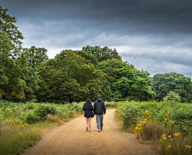 素食者散步需求：植物蛋白消化特点与运动时机
