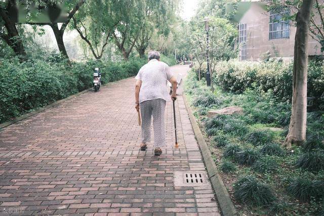 老年人防跌倒：增强骨骼强度的营养运动方案