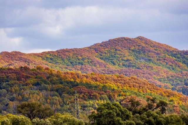 人民日报说：读书、运动、早睡、心安是性价比最高的投资(图2)