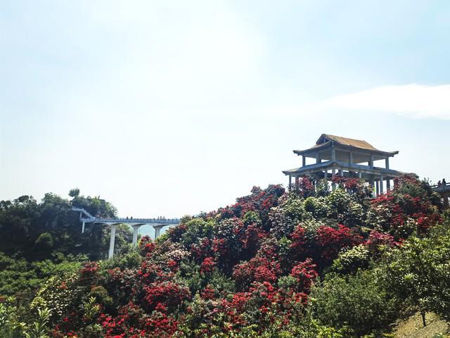 人民日报说：读书、运动、早睡、心安是性价比最高的投资(图6)