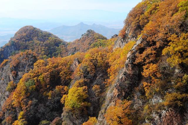 人民日报说：读书、运动、早睡、心安是性价比最高的投资(图3)