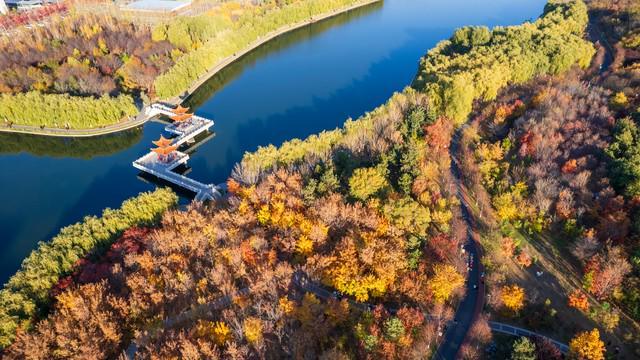 人民日报说：读书、运动、早睡、心安是性价比最高的投资(图4)