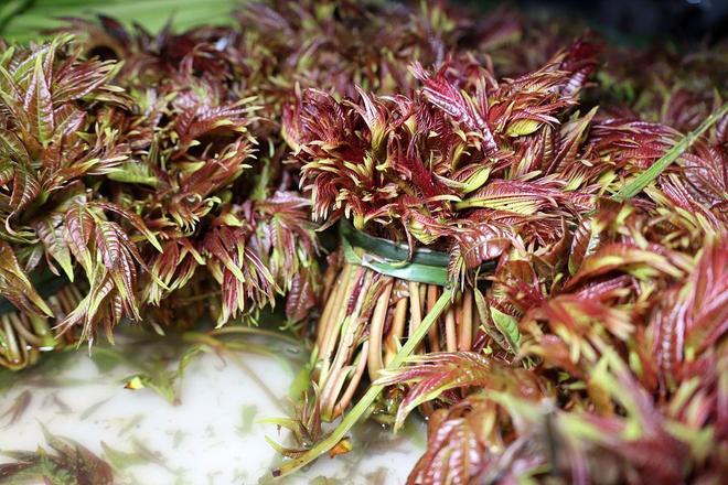 全红婵的“还可以”是谦虚还是实力下滑？——从发育期挑战看运动员的成长韧性