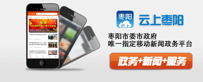 篮球为媒体育经济赋能湖北新发展——枣阳以赛事融合激发县域消费活力(图9)