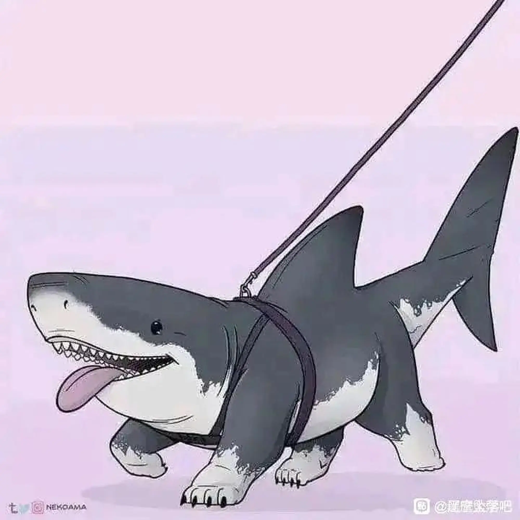 流言板]迷失！施罗德出战25分钟运动战10投全失正负值-25全场最低(图2)