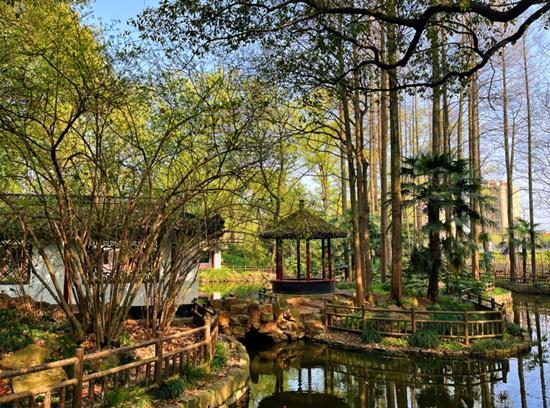 正是运动好时节！快来get金山3个体育健身公园(图2)