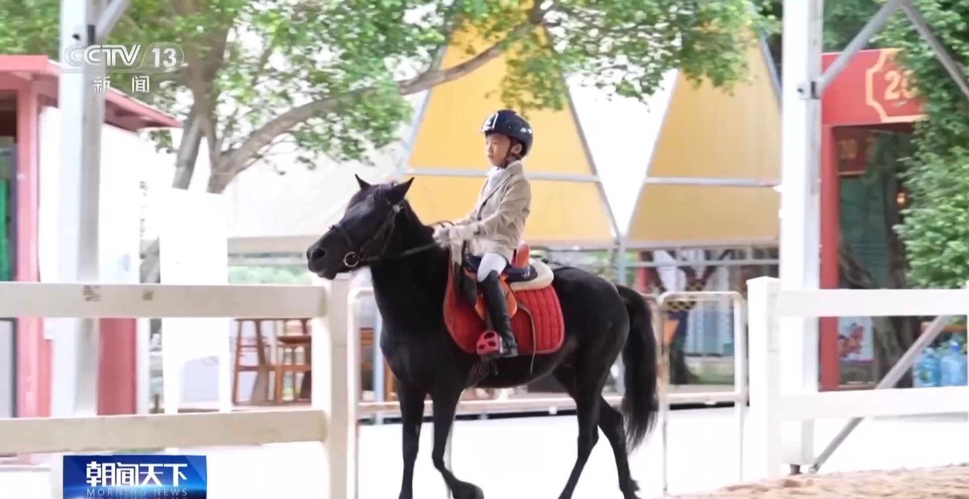 行走湾区看全运丨跨城来运动 珠海以体育推动粤港澳融合发展(图18)
