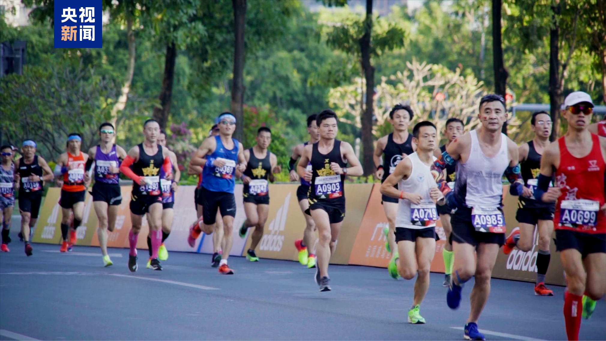 湾区速评丨赛场之外体育赛事何以“燃”动大湾区？(图3)