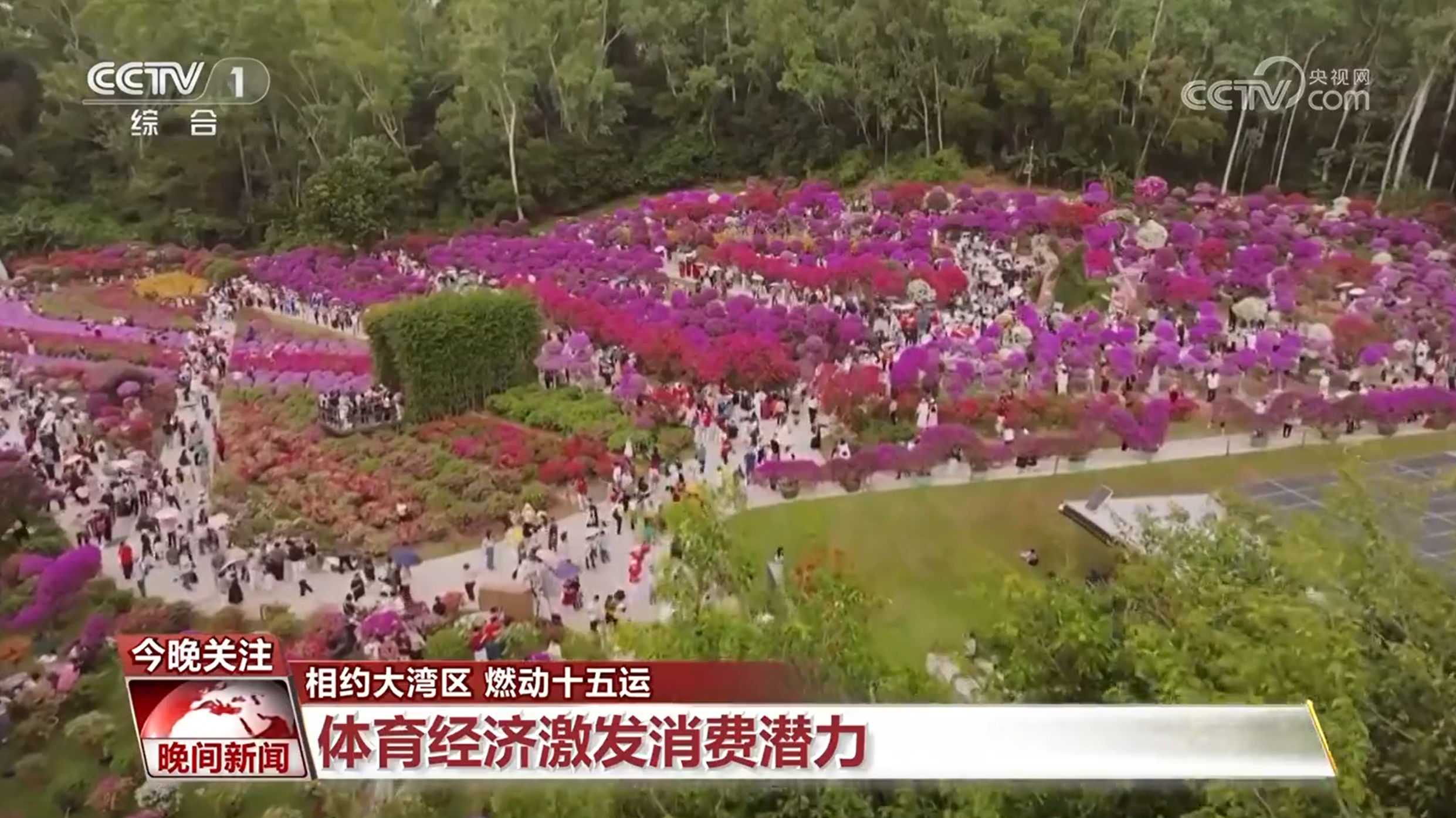 【相约大湾区 燃动十五运】拉近心与心的距离 志愿精神闪耀赛场 十五运会为体育产业注入“新动能”(图5)