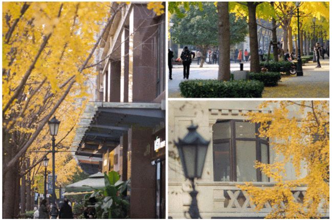 【最新资讯】古北 99售楼处官方发布：古北 99精装美宅！(图11)