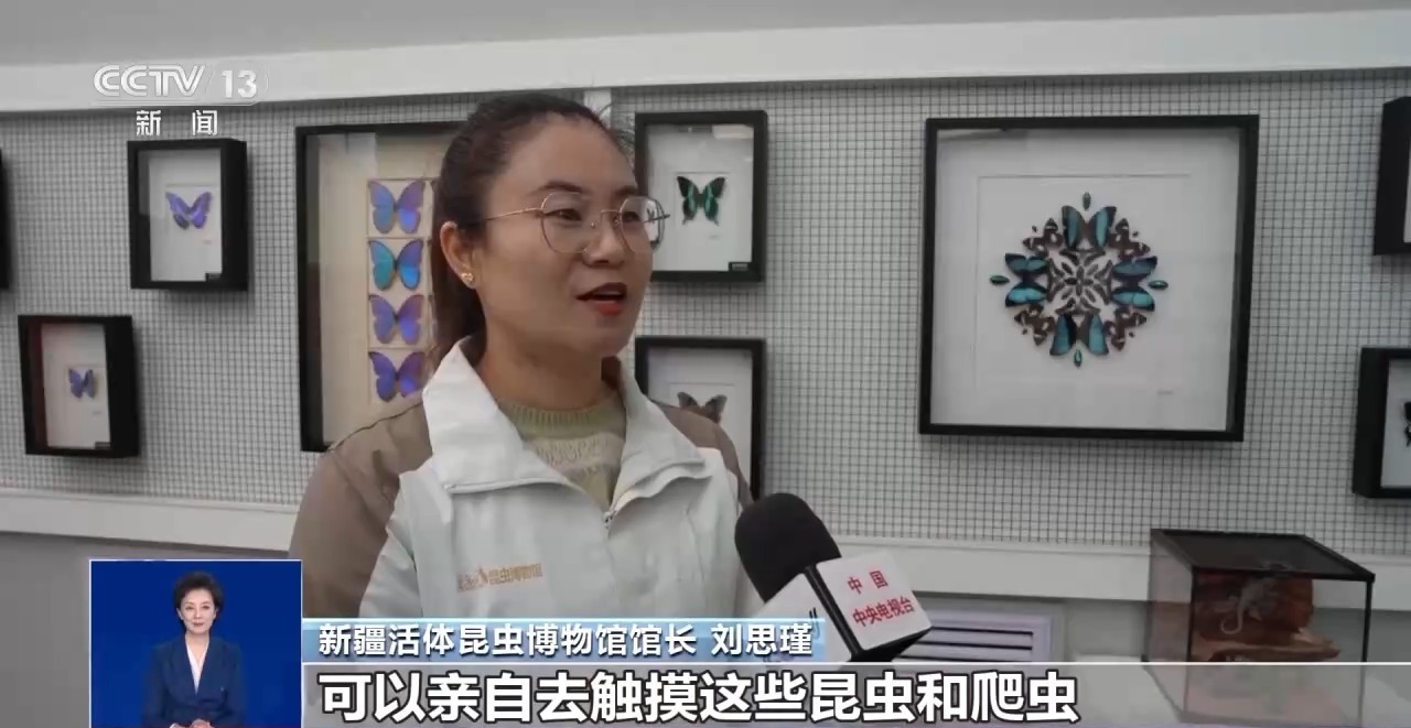 视频丨运动+研学 多地首个“雪假”有滋有味乐趣十足(图12)