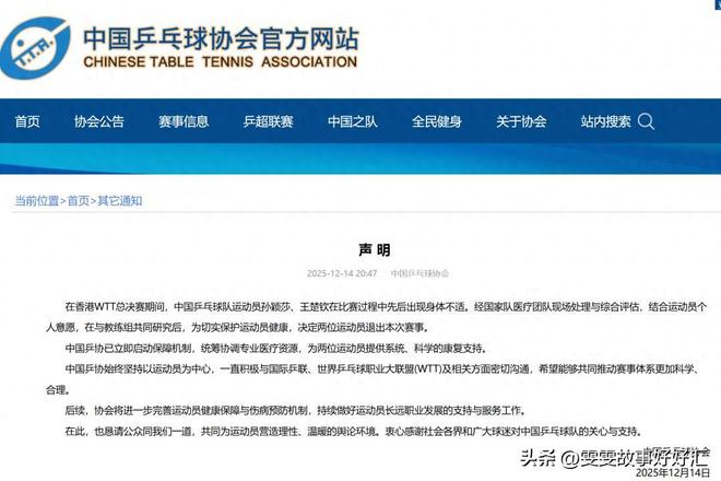 莎头组合双双因伤退赛这一次樊振东和陈梦的举动终于有人懂了(图11)