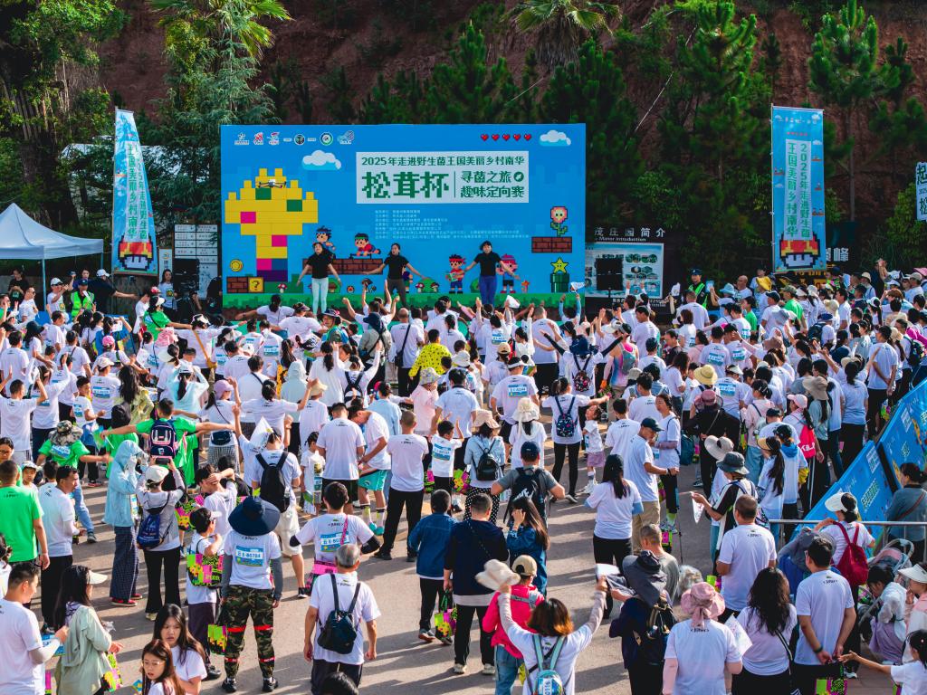 楚雄州2025年交出亮眼体育成绩单_新华网(图2)