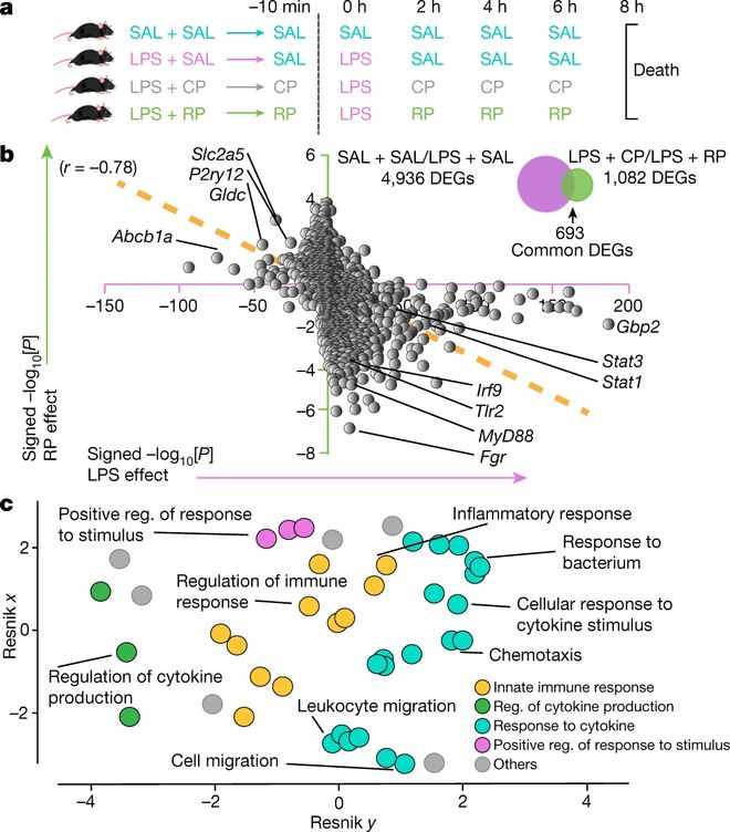 Nature重磅：运动提高大脑抗炎水平显著增强记忆力与学习能力！(图5)