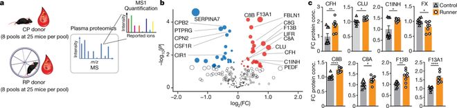 Nature重磅：运动提高大脑抗炎水平显著增强记忆力与学习能力！(图3)