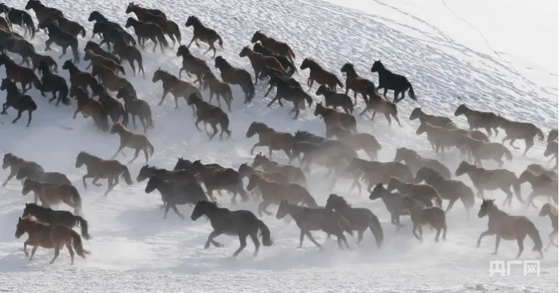 高质量发展“新”速度丨新疆“体育 +”点燃消费“热引擎”(图4)