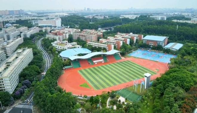 每天2小时体育！教育部这次动真格了体育不再是“可有可无”(图3)