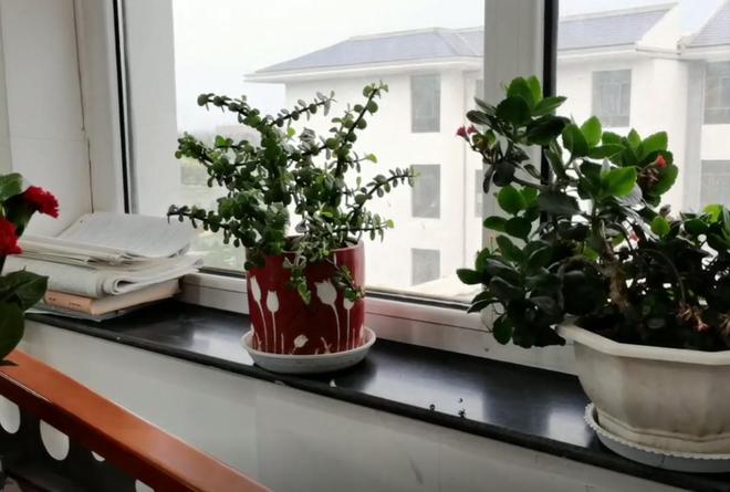 每天2小时体育！教育部这次动真格了体育不再是“可有可无”(图5)