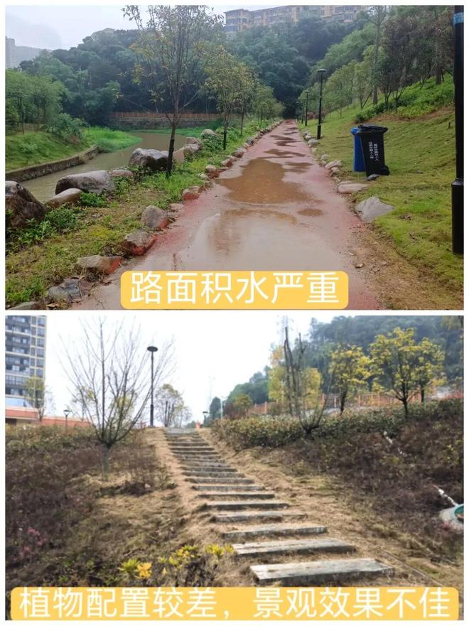 惊艳！三明一公园迎来新的变化(图2)