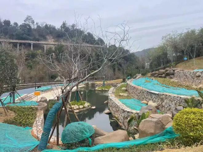 惊艳！三明一公园迎来新的变化(图4)