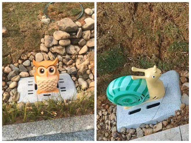 惊艳！三明一公园迎来新的变化(图7)