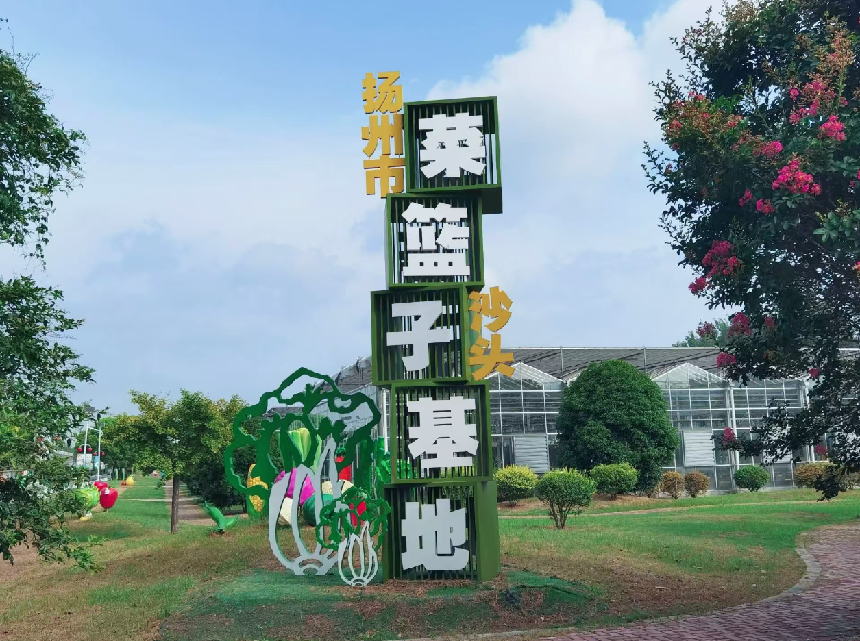 扬州沙头镇：文明作底色 体育添活力 产业当脊梁(图1)